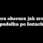 Camera obscura jak zrobić z pudełka po butach