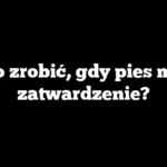 Co zrobić, gdy pies ma zatwardzenie?