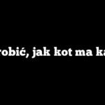 Co zrobić, jak kot ma katar?