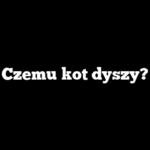 Czemu kot dyszy?