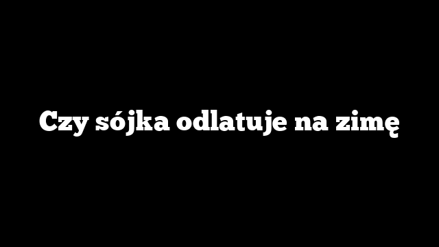 Czy sójka odlatuje na zimę