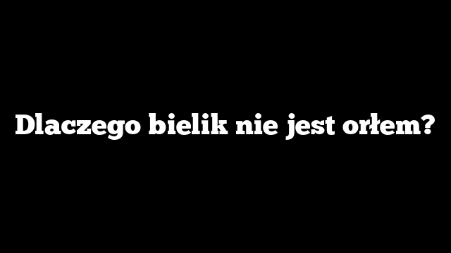 Dlaczego bielik nie jest orłem?