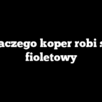 Dlaczego koper robi się fioletowy