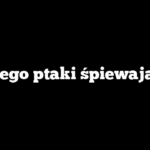 Dlaczego ptaki śpiewają rano