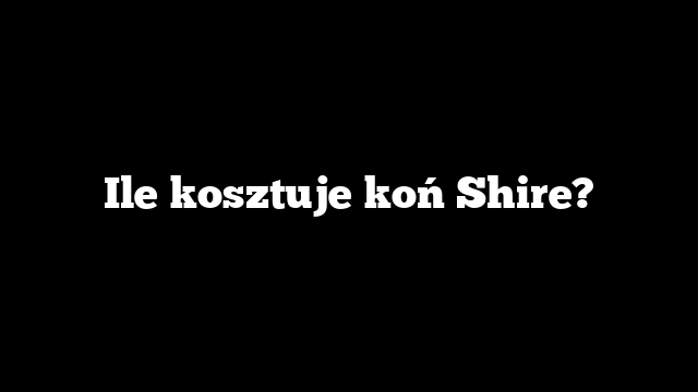 Ile kosztuje koń Shire?