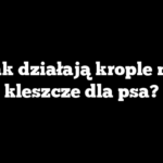 Jak działają krople na kleszcze dla psa?