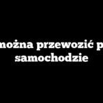 Jak można przewozić psa w samochodzie
