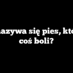 Jak nazywa się pies, którego coś boli?