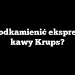 Jak odkamienić ekspres do kawy Krups?