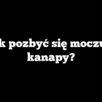 Jak pozbyć się moczu z kanapy?