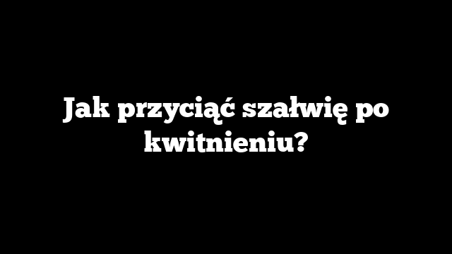 Jak przyciąć szałwię po kwitnieniu?