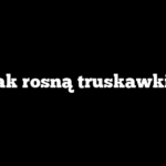 Jak rosną truskawki?