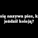 Jak się nazywa pies, który jeździł koleją?