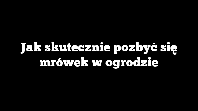 Jak skutecznie pozbyć się mrówek w ogrodzie