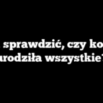 Jak sprawdzić, czy kotka urodziła wszystkie?