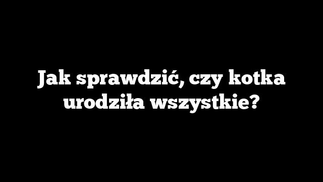 Jak sprawdzić, czy kotka urodziła wszystkie?