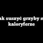 Jak suszyć grzyby na kaloryferze