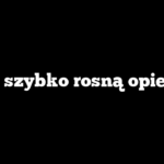 Jak szybko rosną opieńki