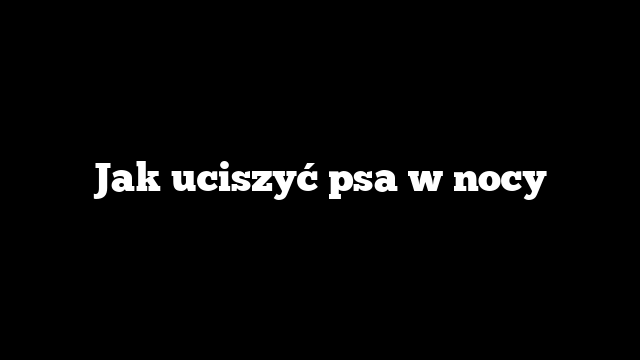 Jak uciszyć psa w nocy