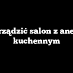Jak urządzić salon z aneksem kuchennym