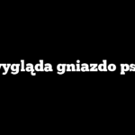 Jak wygląda gniazdo pszczół
