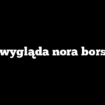 Jak wygląda nora borsuka
