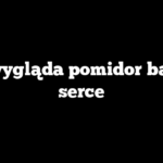 Jak wygląda pomidor bawole serce