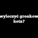Jak wyleczyć gronkowca u kota?