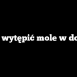 Jak wytępić mole w domu