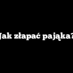 Jak złapać pająka?