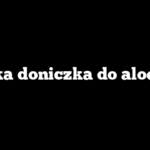 Jaka doniczka do aloesu