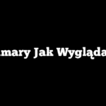 Kalmary Jak Wyglądają?