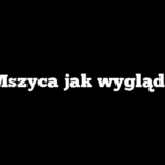 Mszyca jak wygląda