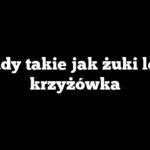 Owady takie jak żuki leśne krzyżówka