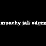 Pampuchy jak odgrzać