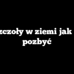 Pszczoły w ziemi jak się pozbyć